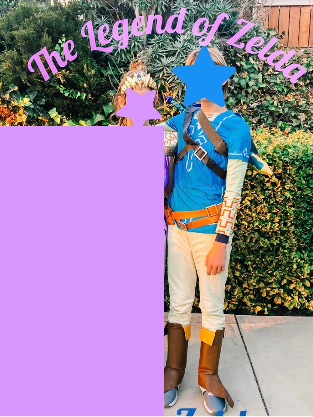 Link from The Legend of Zelda Costume Adult/ Teen Size M/L